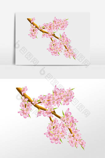手绘春季植物樱花粉色花插画图片
