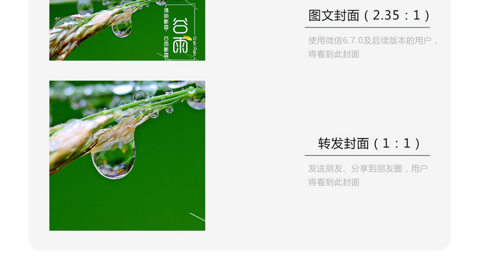 绿色植物简洁二十四节气之谷雨微信公号用图