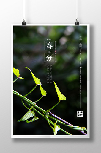 唯美清新绿叶二十四节气春分海报图片