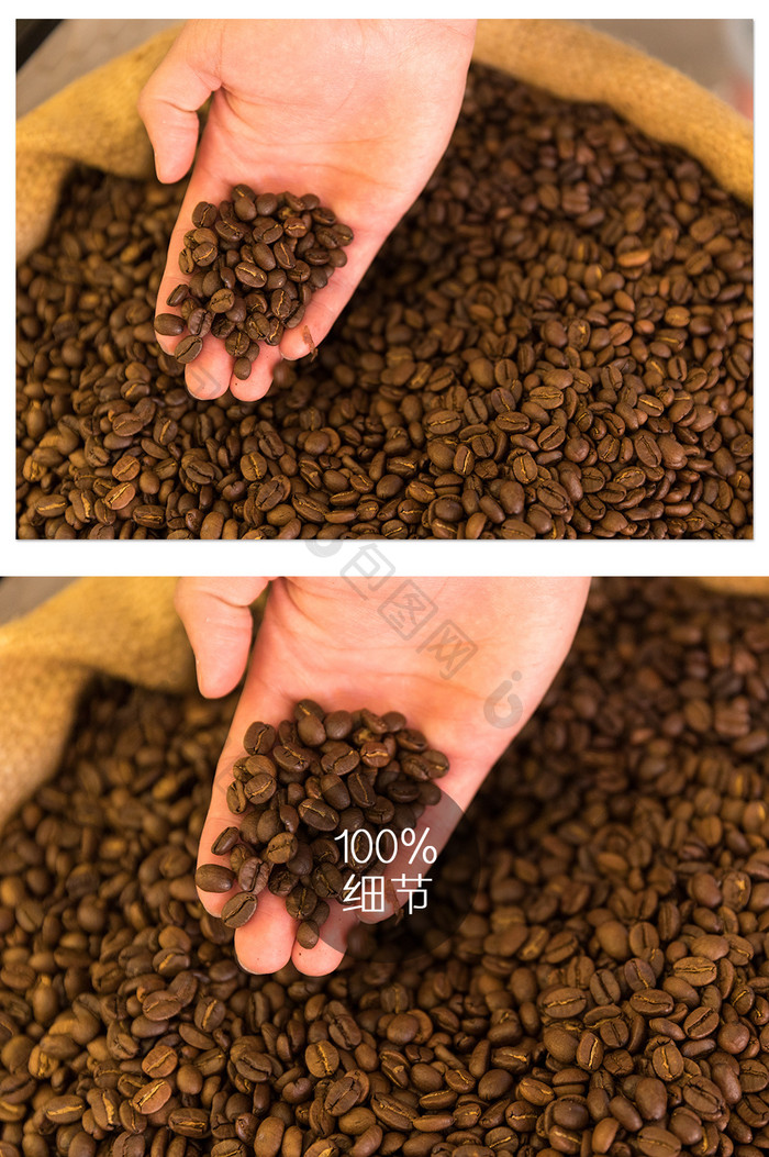 挑选咖啡豆摄影图片