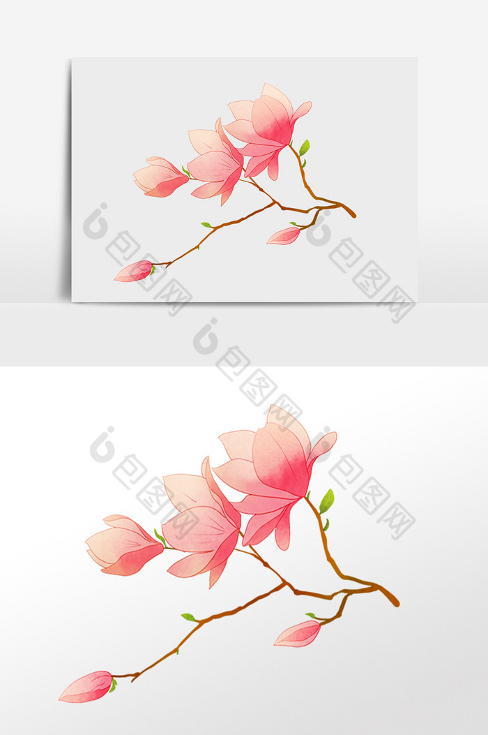 春季花朵花枝插画图片图片