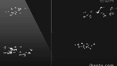 4组带通道群鸟飞过合成视频素材