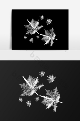 冰晶花雪花结晶元素图片