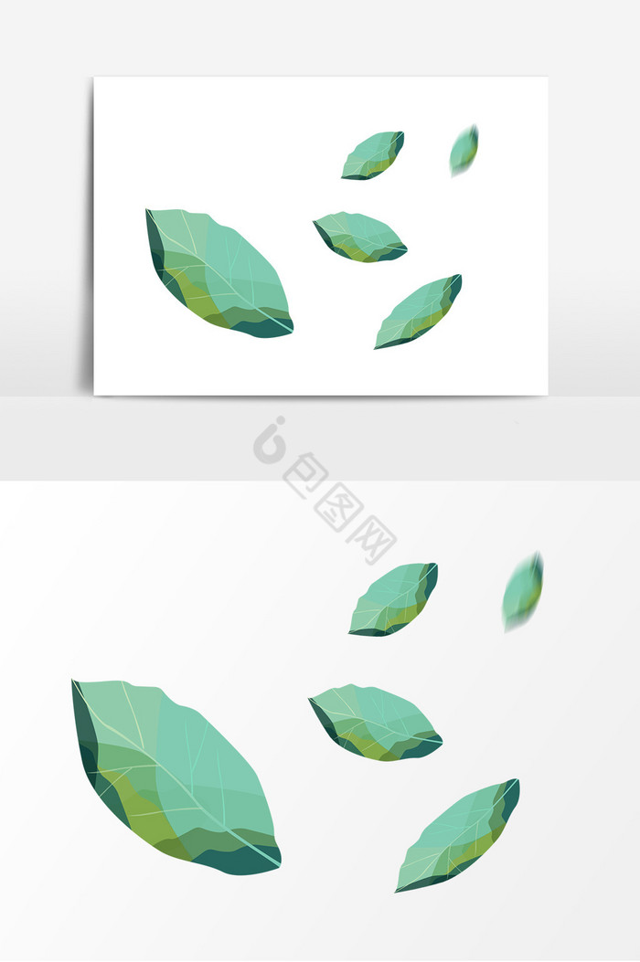 植物树叶漂浮图片
