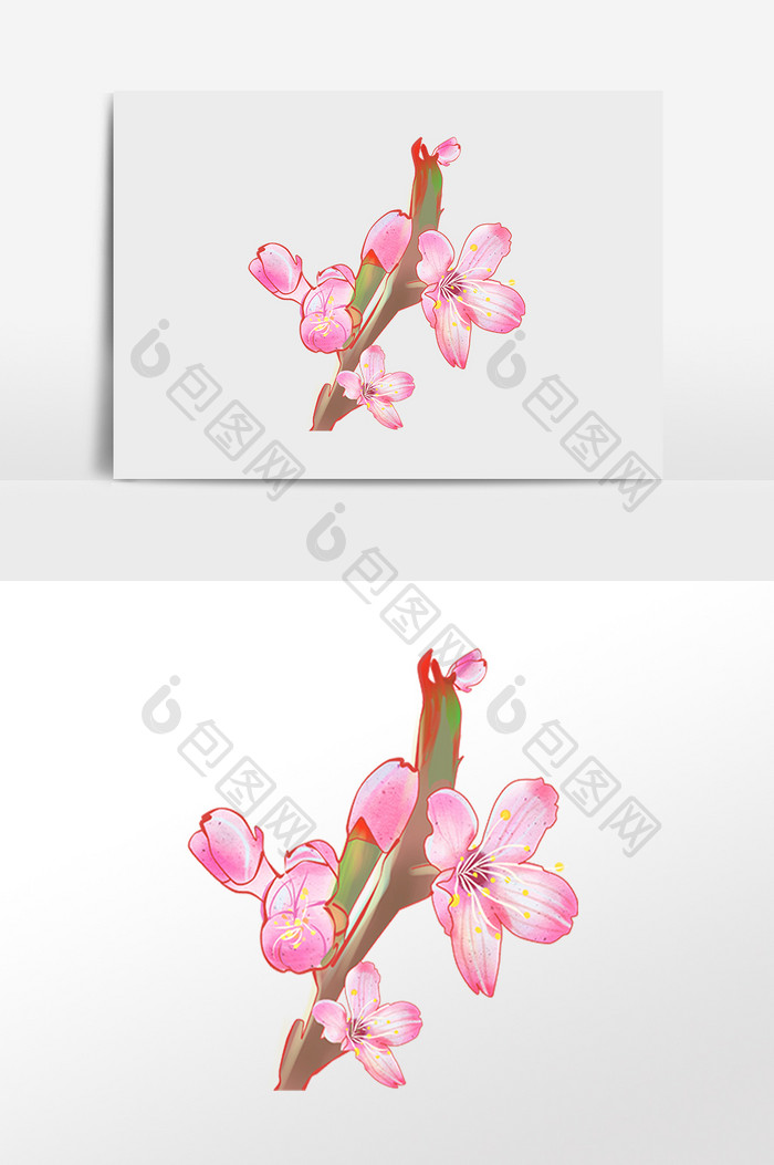 手绘春季粉色樱花花枝插画