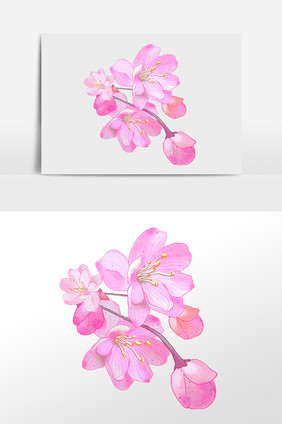 手绘春季植物樱花花朵花瓣插画