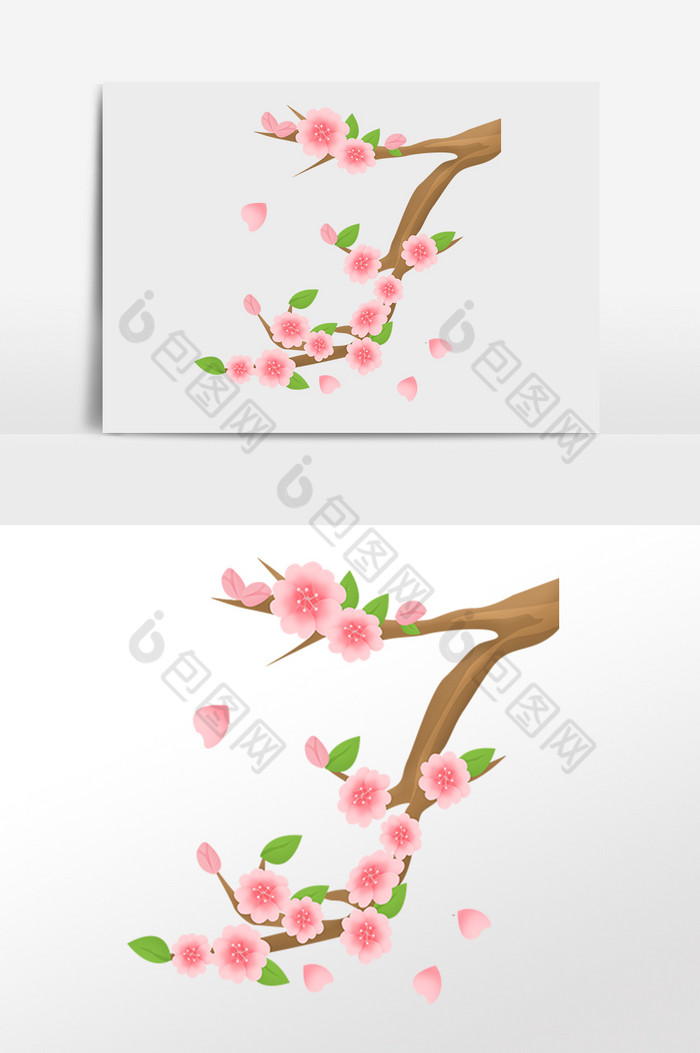 春季樱花树枝花朵插画图片图片