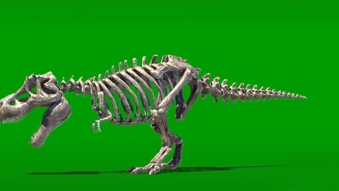 3D骷髅骨龙之霸气怒吼震撼绿幕简单素材