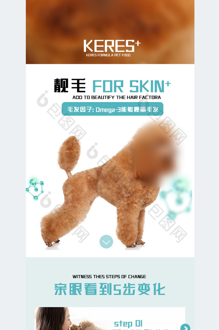 宠物用品贵宾犬宠物猫粮狗粮猫粮详情页模板