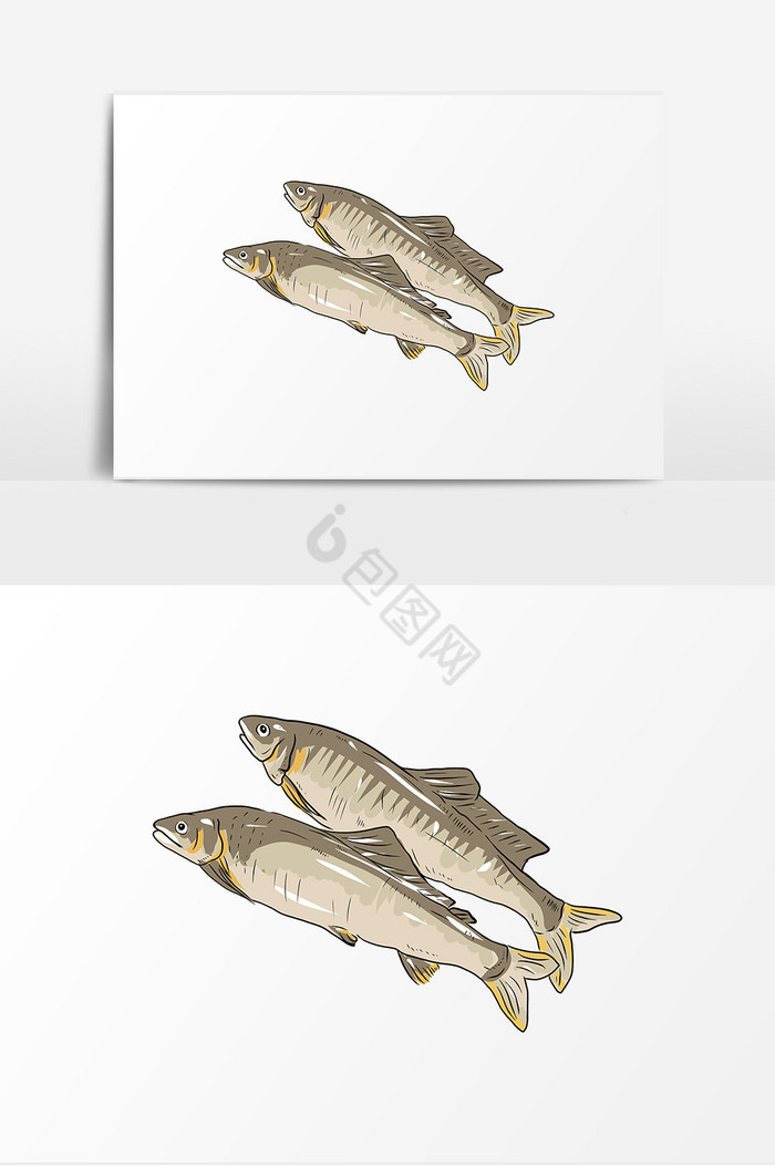 食品海鲜鱼图片