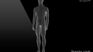 7组4K分辨率三维医疗人体动画