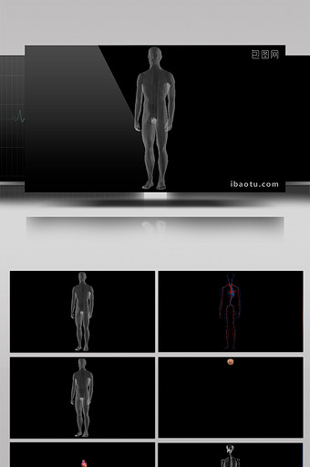 7组4K分辨率三维医疗人体动画图片