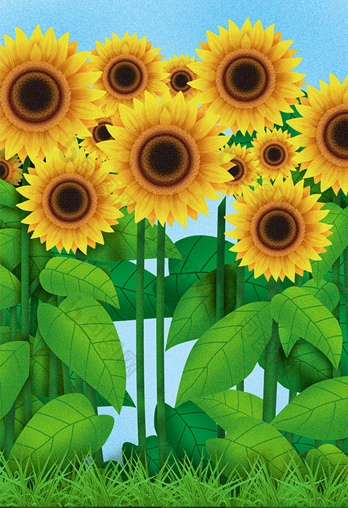 夏季向日葵图片