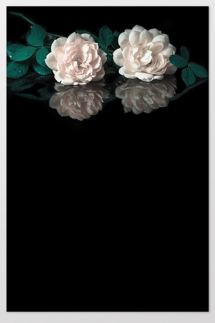 黑底图片-黑底素材免费下载-包图网