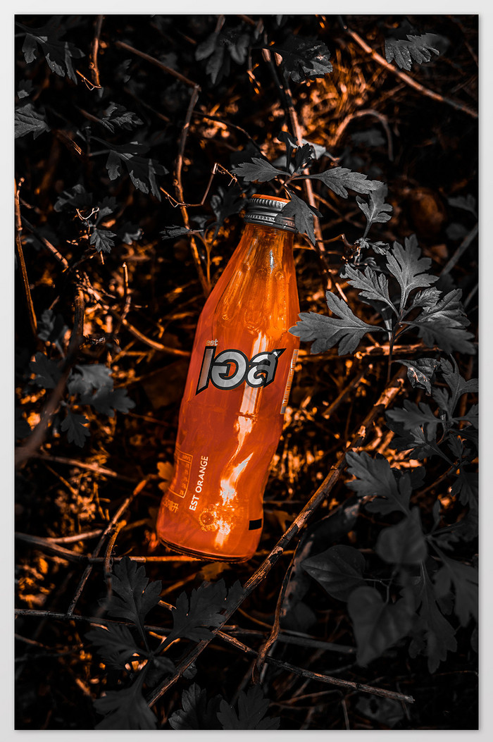 暗调EST橙色橙味汽水美食静物摄影图片