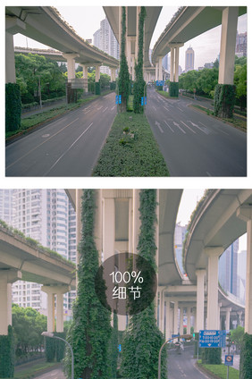 覆满植被的城市高架桥摄影图