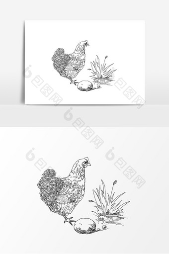 黑白线稿风格手绘母鸡元素图片