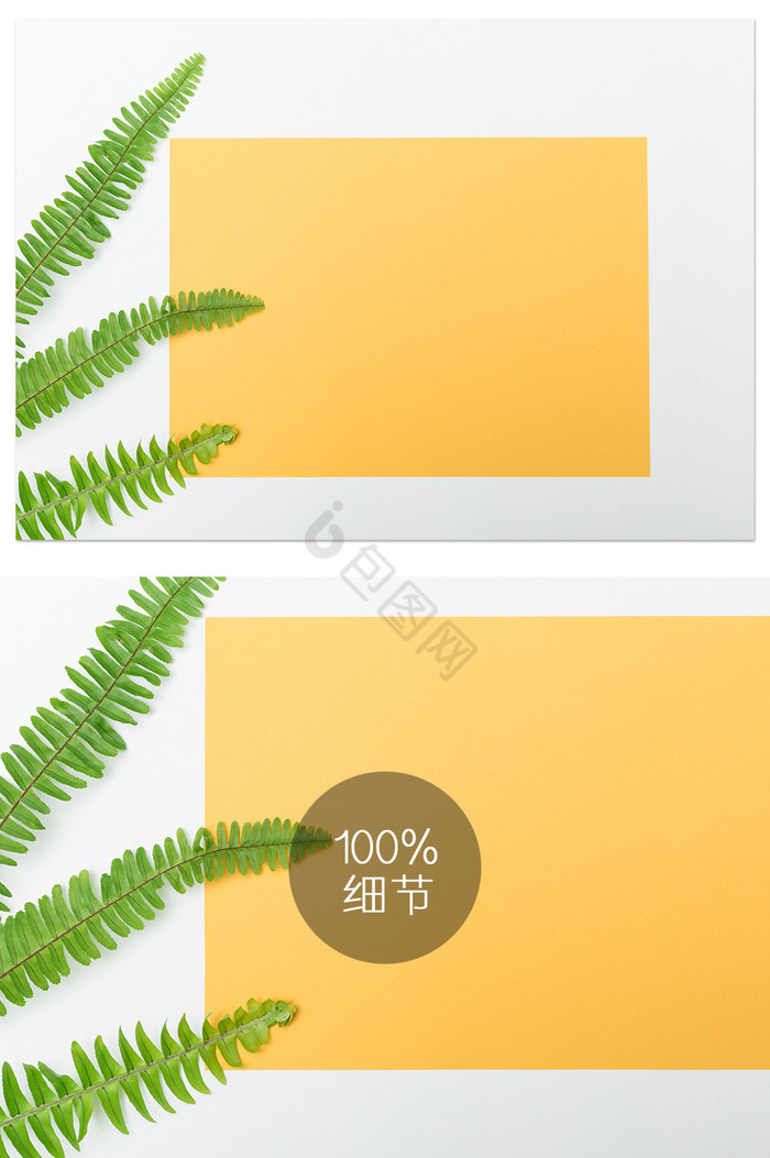 绿植黄色底图海报摄影图片