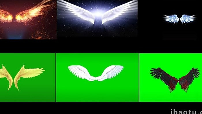 五款风格特色翅膀素材火焰，天使，恶魔