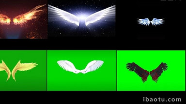 五款风格特色翅膀素材火焰，天使，恶魔