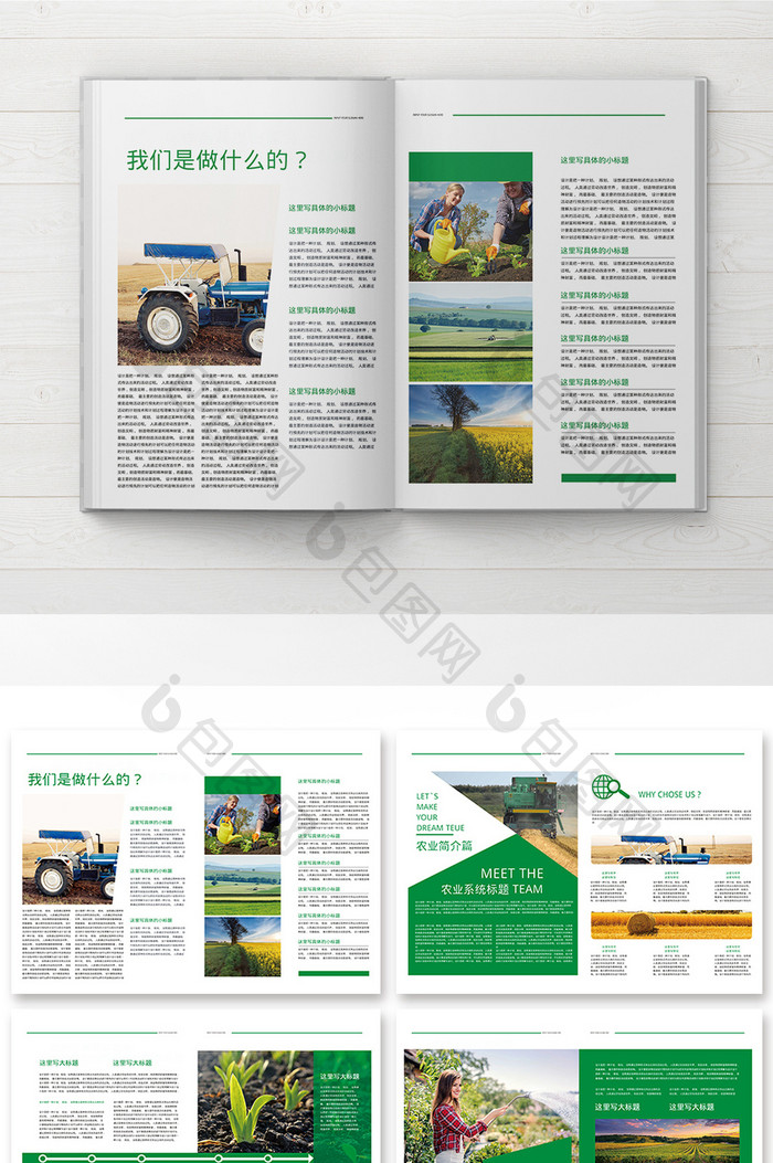 绿色整套几何农业系统画册