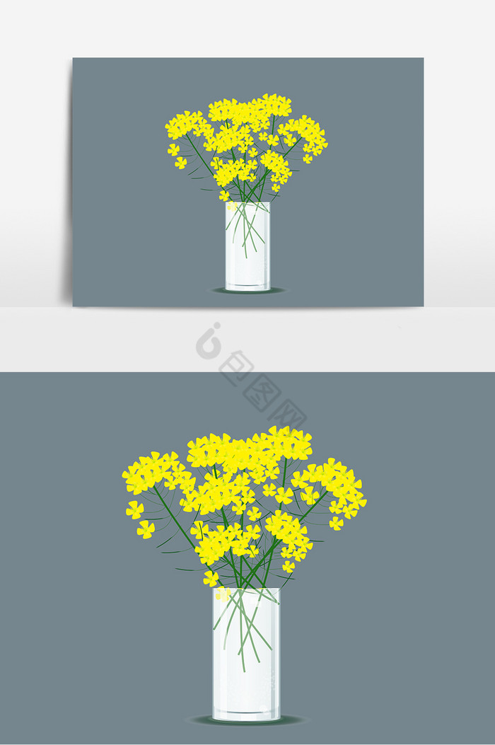 春季绿植油菜花花瓶图片