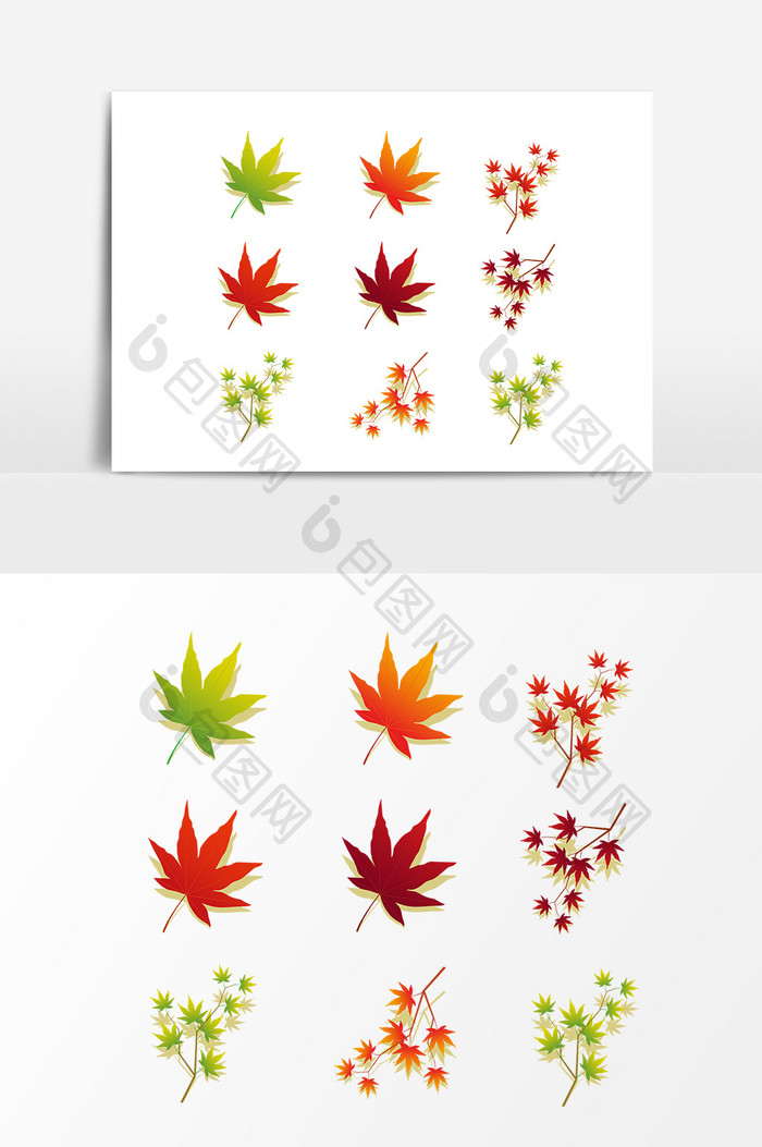 手绘秋季树叶设计元素