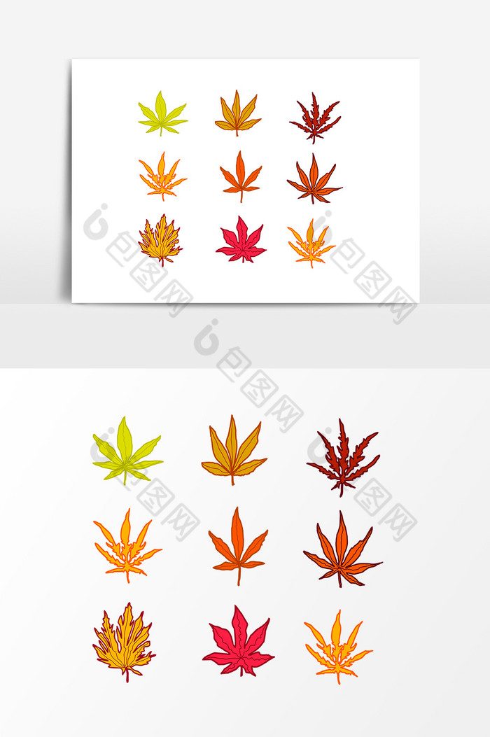 秋季枫叶图片图片