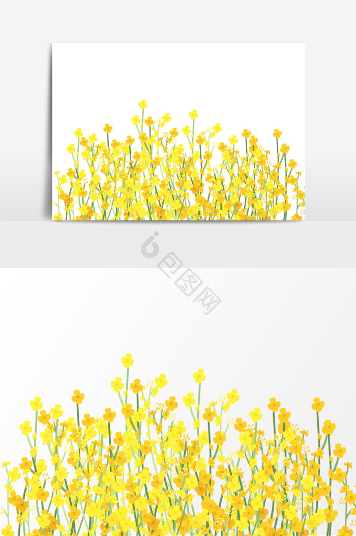油菜花插画图片下载-包图网