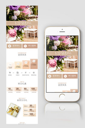 vip会员中心淘宝电商手机端模板