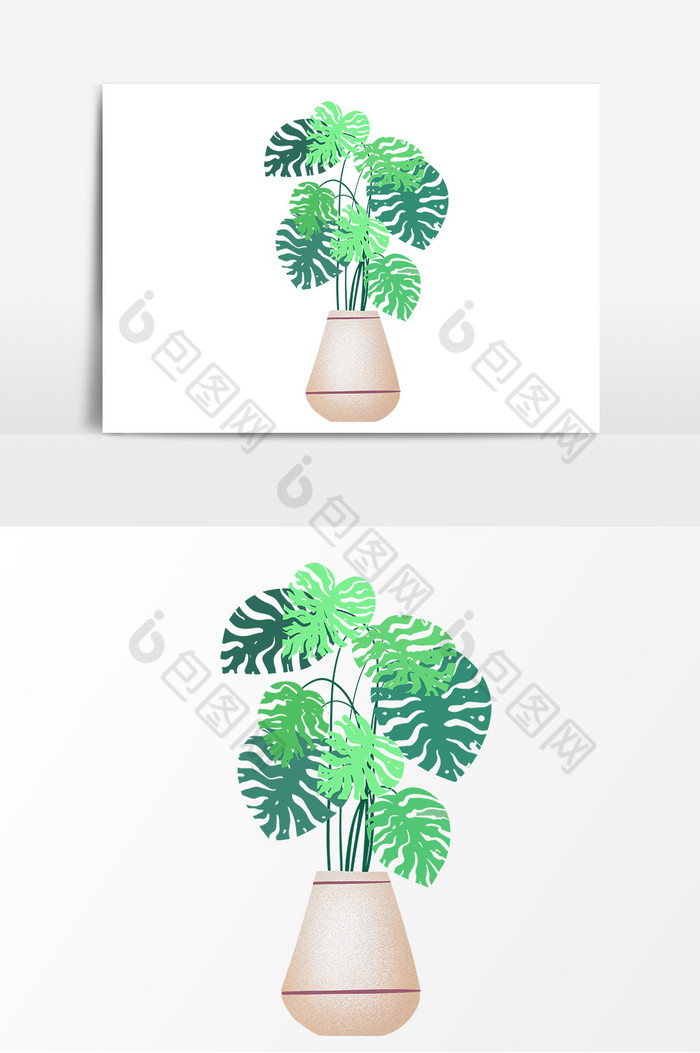 植物盆栽装饰图片图片
