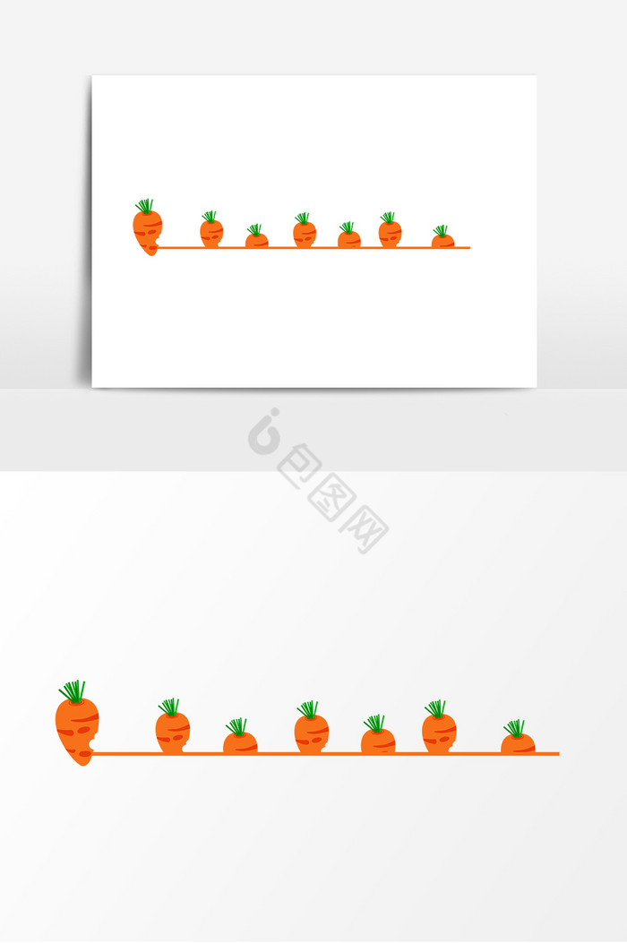 胡萝卜分界线图片