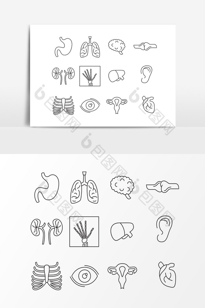 手绘人体器官设计素材