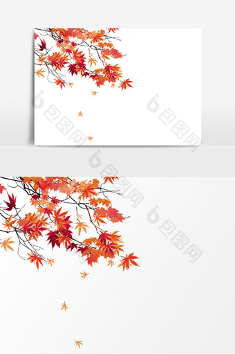红色枫树植物落叶装饰元素图片
