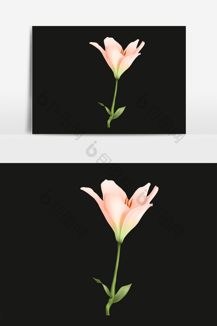 百合花束图片 百合花束素材 包图网 百合花束图片 百合花束素材 包图网