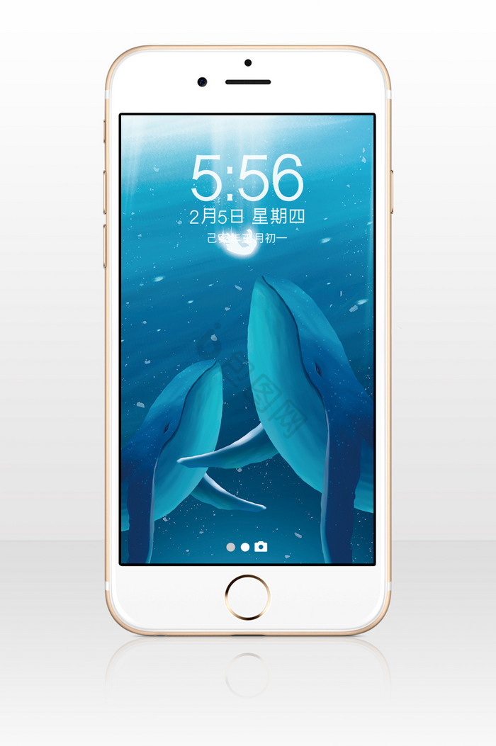 蓝色海洋动物手机壁纸图片