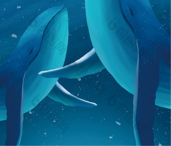 蓝色海洋动物手机壁纸