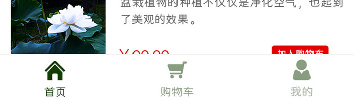 绿色简约花店商城APP首页UI移动界面