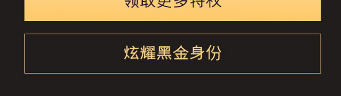 黑金会员邀请函会员特权图标线性暗色系尊贵