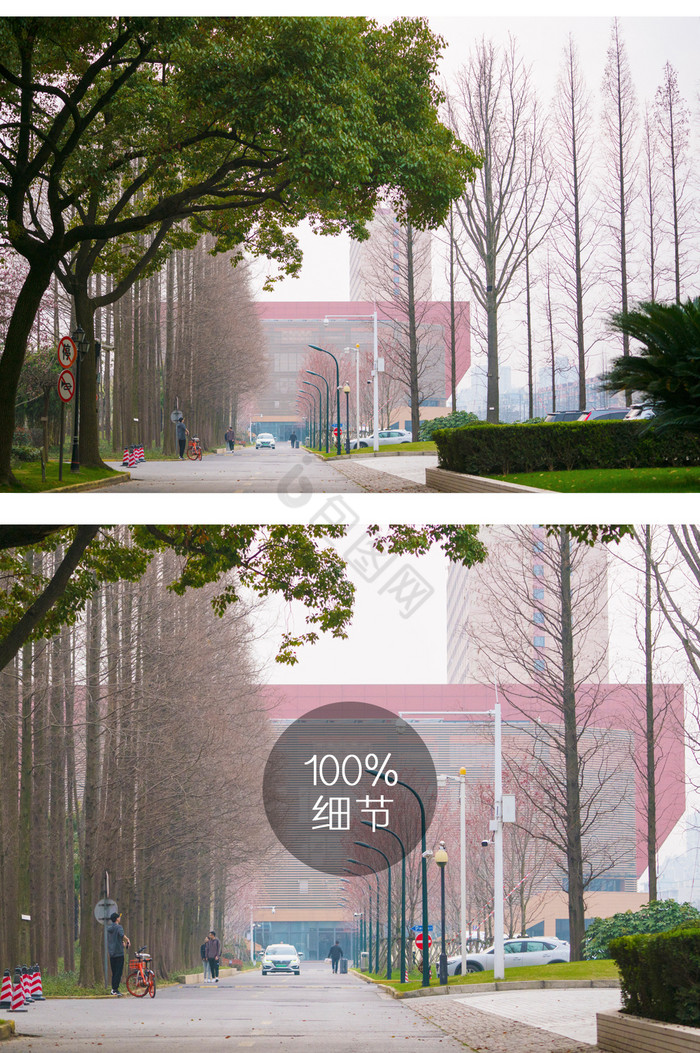 中国校园风景摄影图片