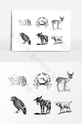素描动物设计素材图片
