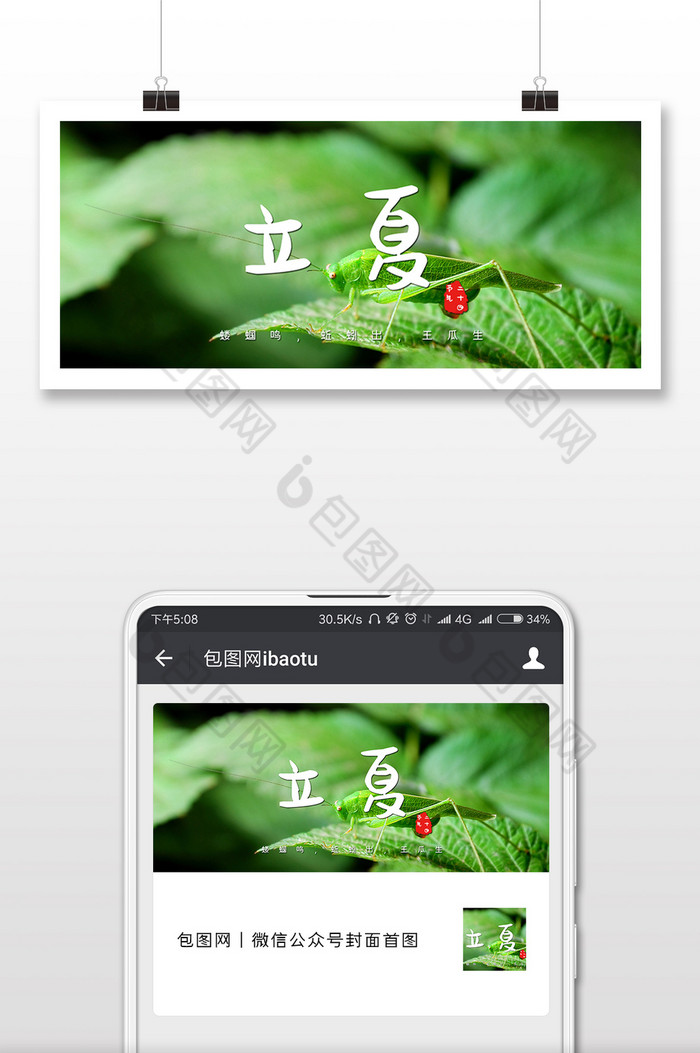 绿色蚱蜢夏天立夏传统节气微信配图图片图片