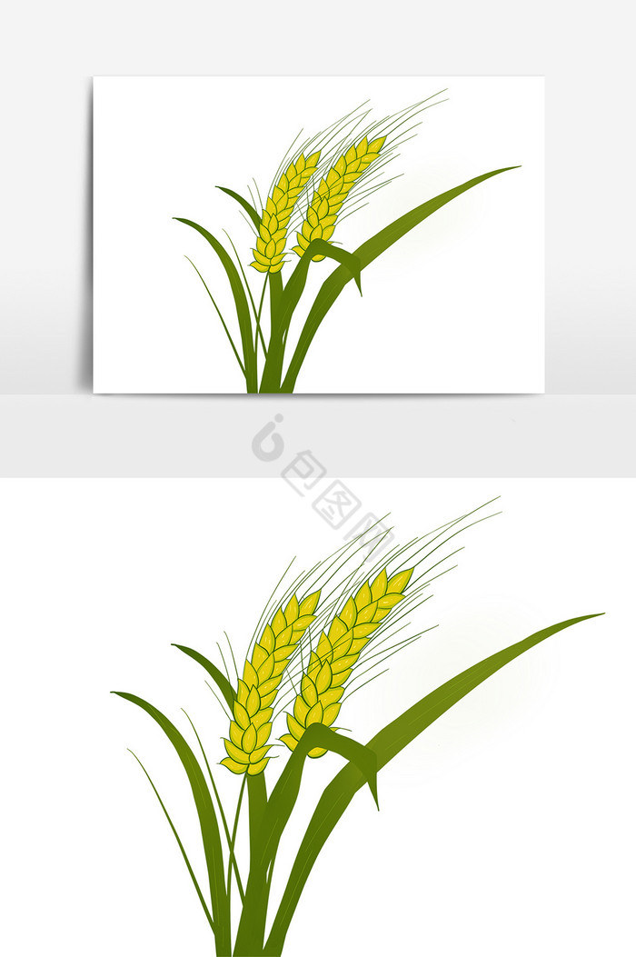 夏至麦子装饰图片