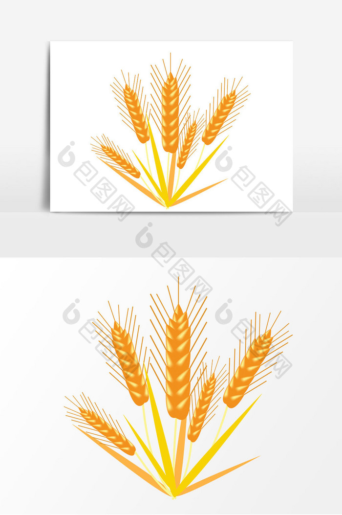 金黄色麦子麦穗元素