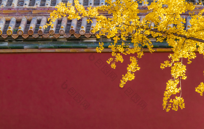 北京故宫博物院的秋季景观