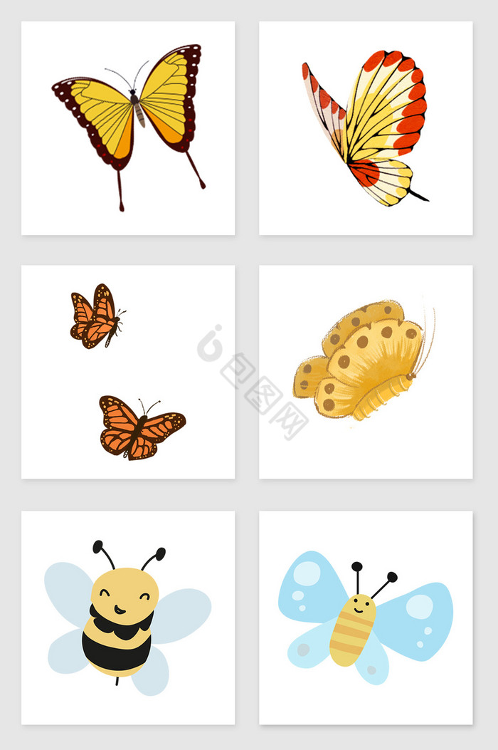 蝴蝶和蜜蜂套图插画图片