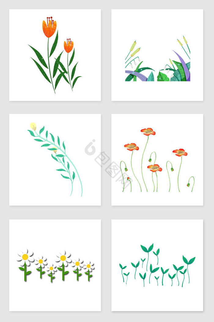 小花和小草套图插画图片