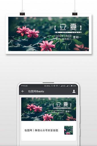 暗调逆光绿色荷叶粉色立夏节气微信配图图片