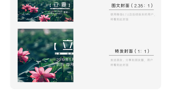 暗调逆光绿色荷叶粉色立夏节气微信配图