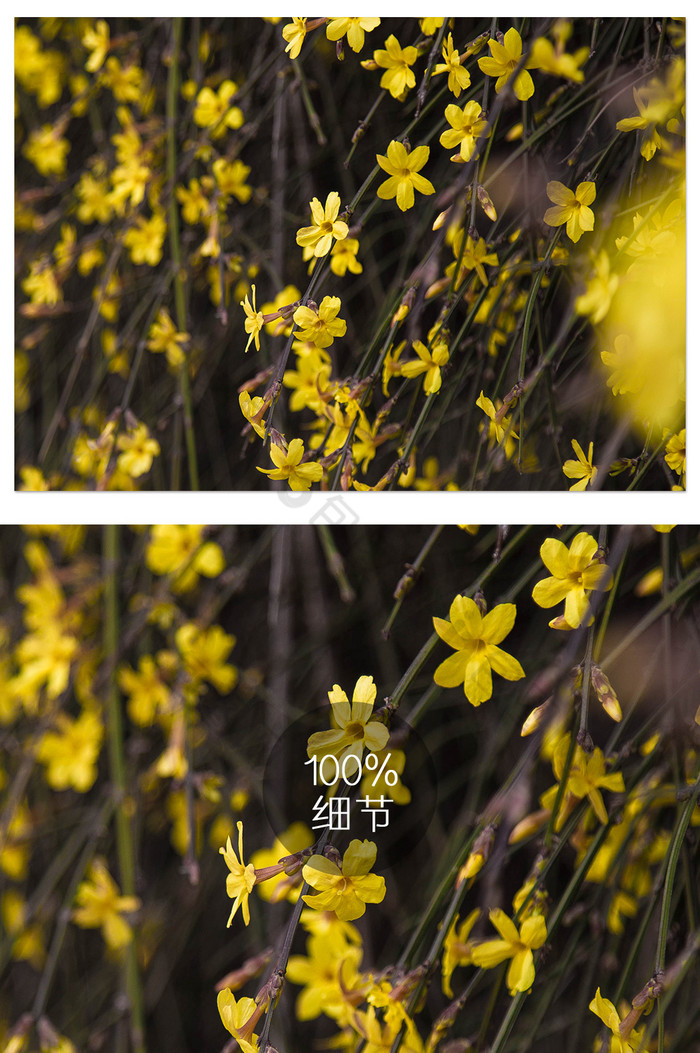 流水森林风景图片